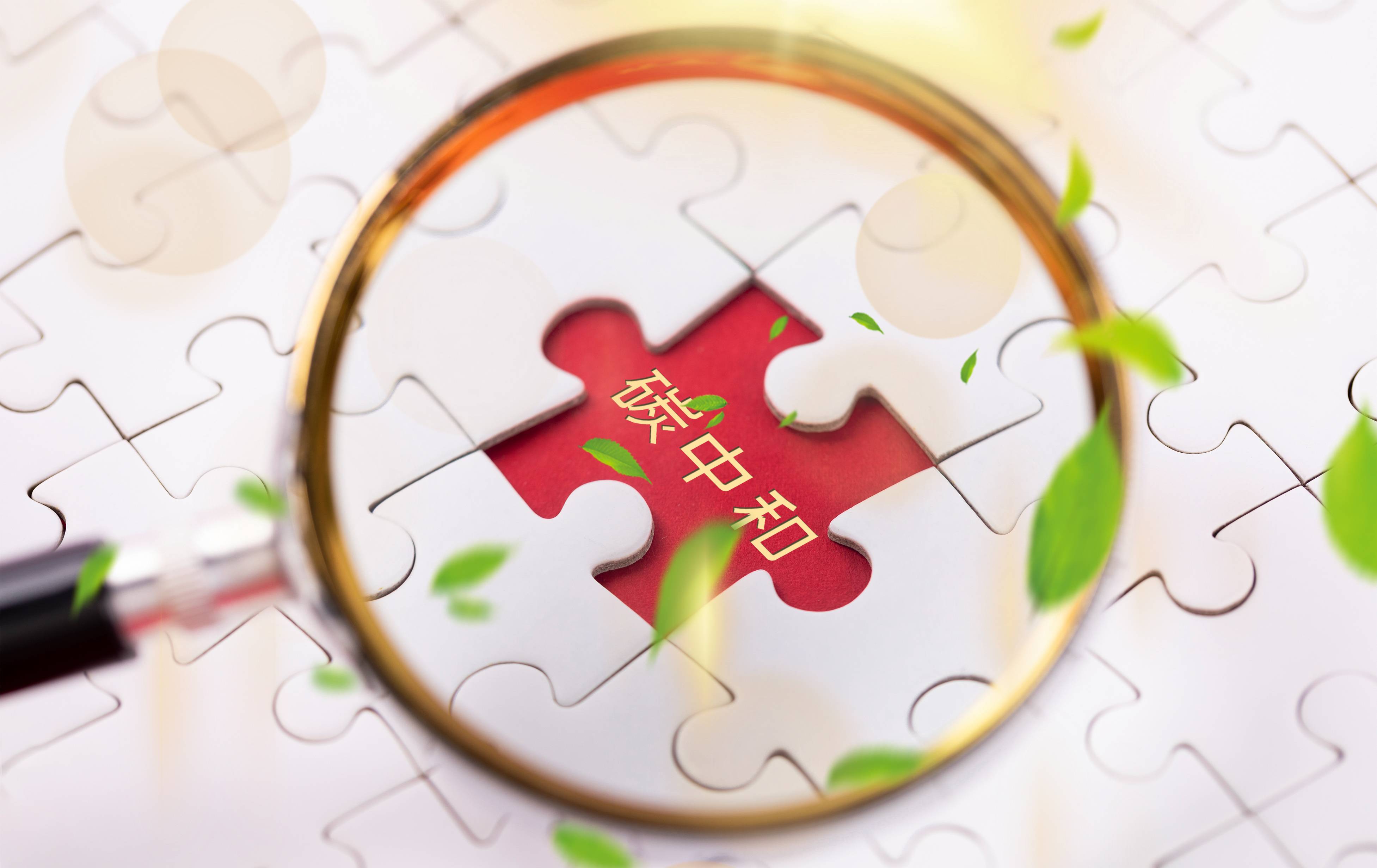 重慶博碩光電有限公司 | 溫室氣體減排計(jì)劃